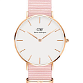 Часы Daniel Wellington Petite Dover DW00100512